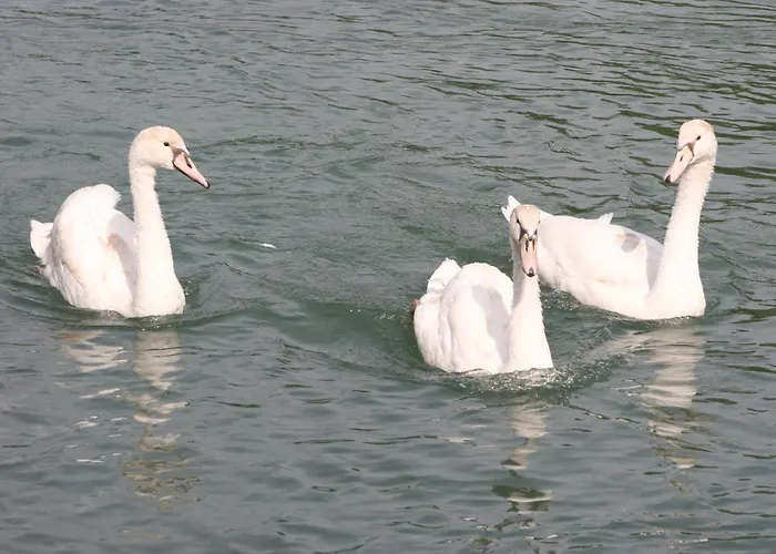 Hotel Borgo Ca Dei Sospiri